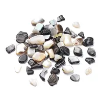 Natural Black Lip Shell Beads