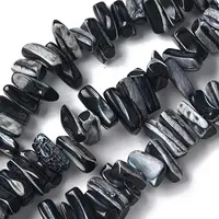 Dyed Natural Trochus Shell Beads Strands