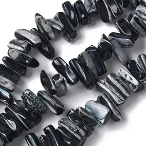 Dyed Natural Trochus Shell Beads Strands