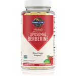 Garden of Life Herbals Liposomal Berberine kapsuly na udržanie normálnej hladiny cukru v krvi 60 cps