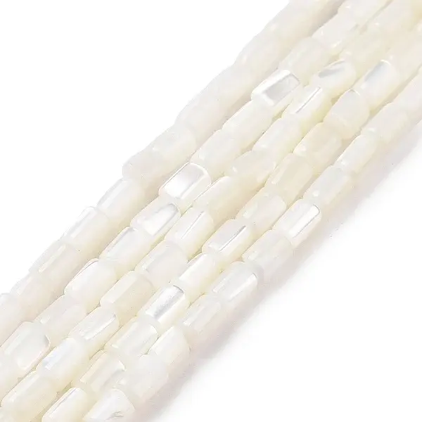 Natural Trochus Shell Beads Strands