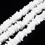 Natural White Shell Beads Strands