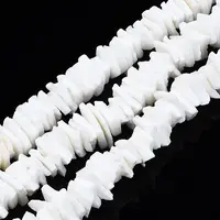 Natural White Shell Beads Strands