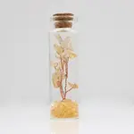 Glass Wishing Bottle Decorations