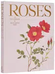 Roses in the Garden - Ngoc Minh Ngo