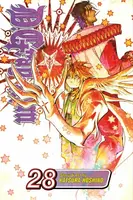 D.Gray-man, Vol. 28 - Katsura Hoshino