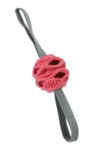 Hračka pes Outdoor TRP míček terakota Zolux