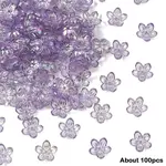 15g Transparent Acrylic Bead Caps