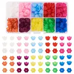 250Pcs 10 Colors Transparent Acrylic Bead Caps
