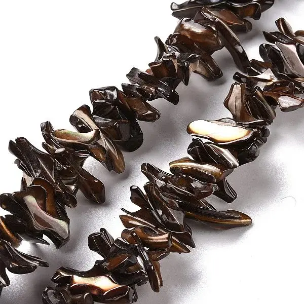 Natural Trochid Shell Beads Strands