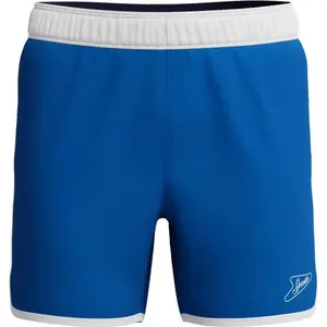 Speedo JETSTREAM RETRO LOGO VOLLEY 16 Pánske plavecké šortky, modrá, veľkosť