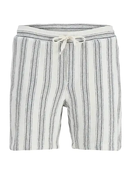 Jack & Jones Plus Nohavice 'JPSTJaiden'  čierna / biela