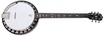 Deering Boston 6 String Banjo
