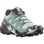 Salomon Speedcross 6 EU 40 ⅔, Yucca/Ebony/White Dámské běžecké boty