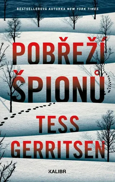 Pobřeží špionů (Defekt) - Tess Gerritsen