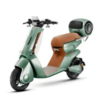 Elektrický skútr Stardust 45 10" zelená