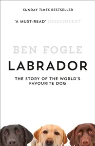 Labrador - Fogle Ben