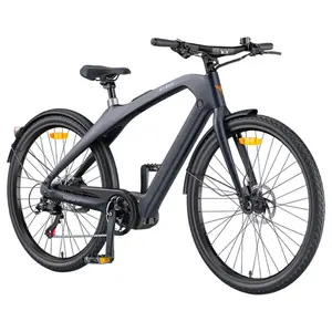 ENGWE MapFour N1 Pro Electric Bike 250W 36V 10Ah Grey