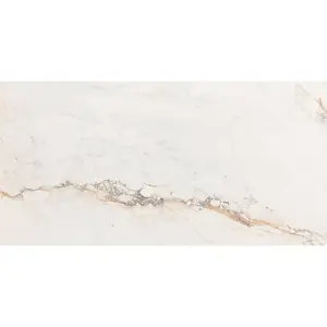 Gresová dlažba Pisa Gold  60/120