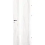 Dvere vnútorné Kleopatra plné 60P brest škandinávsky 318a
