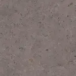 Dlažba Pastorelli Biophilic dark grey 80x80 cm mat P009420