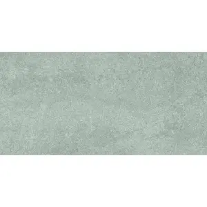 Dlažba Rako Kaamos sivá 30x60 cm mat DAKSR587.1