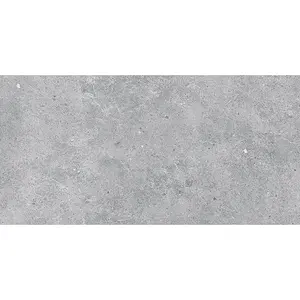 Dlažba Multi Desert greige 30x60 cm mat DESER36GRG