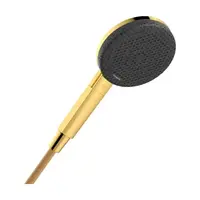 Hansgrohe Raindance Alive Select S ručná sprcha leštený vzhľad zlata 24500990