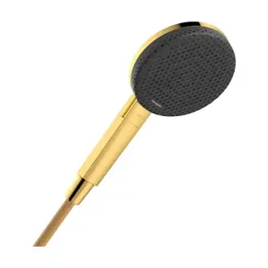 Hansgrohe Raindance Alive Select S ručná sprcha leštený vzhľad zlata 24500990