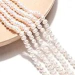 Natural Cultured Freshwater Pearl Beads Strands