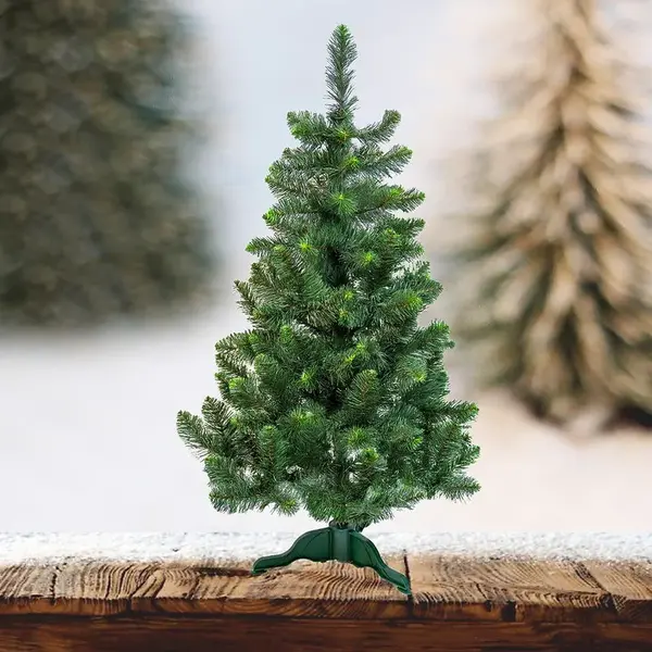 Stromek borovice zelené koncovky 120