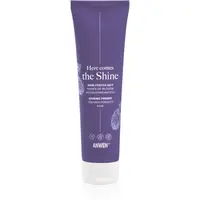 Anwen Here Comes The Shine Shining Primer For High Porosity Hair podkladová báze na vlasy 100 ml