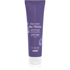 Anwen Here Comes The Shine Shining Primer For High Porosity Hair podkladová báze na vlasy 100 ml