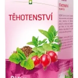 MEGAFYT Bylinková lékárna Těhotenství sáčky 20 x 1.5 g