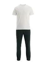 Dagi Dlhé pyžamo  svetlosivá / jedľová / biela