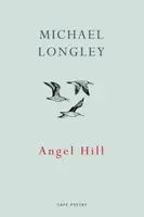 Angel Hill - Michael Longley