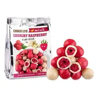 MIXIT Křupavé maliny v čokoládě do kapsy 70 g