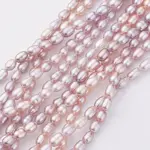 Natural Cultured Freshwater Pearl Beads Strands