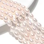 Natural Cultured Freshwater Pearl Beads Strands