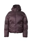 ALPHA INDUSTRIES Zimná bunda  baklažánová