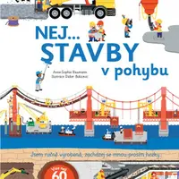 Nej... STAVBY v pohybu  Anne-Sophie Baumann - Anne-Sophie Baumann, Didier Balicevic