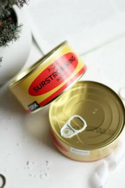 Ponožky v konzervě Surströmming (Pánské vel. 40 - 46)