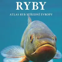 Sladkovodní ryby - Matthias Bergbauer