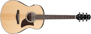 Ibanez AAM100E Natural