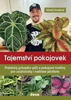 Tajemství pokojovek (Defekt) - Matěj Hradský