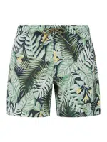 Men's beach shorts Protest PRTGLORY