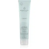 Paul Mitchell Awapuhi Wild Ginger Repair Intevsive Treatment intenzivní vlasová kúra pro poškozené vlasy 150 ml