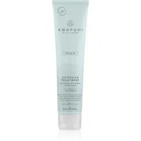 Paul Mitchell Awapuhi Wild Ginger Repair Intevsive Treatment intenzivní vlasová kúra pro poškozené vlasy 150 ml