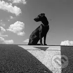 Le Payaco: Pohybliví v nehybnom LP - Le Payaco