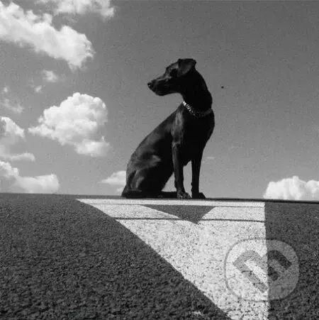 Le Payaco: Pohybliví v nehybnom LP - Le Payaco